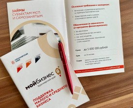 МСП Красноярского края получили более 600 млн рублей поддержки в рамках льготных микрозаймов и поручительств